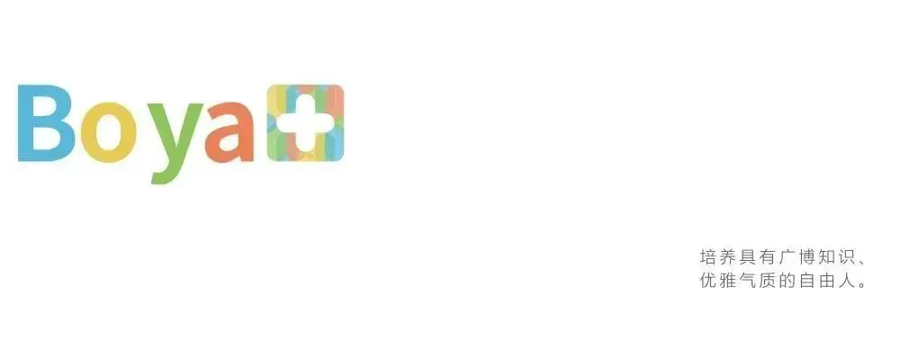 哪里能找到专业的篮球训练与发展计划_0